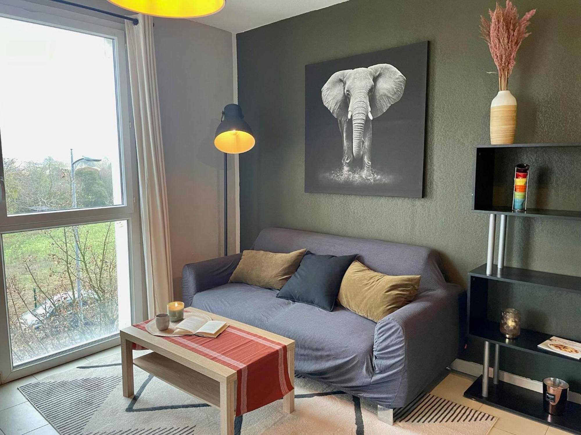 Le Colorado - Appartement Proche Airbus Colomiers Exterior foto
